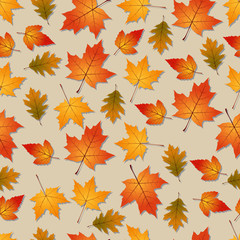Autumn seamless vector background