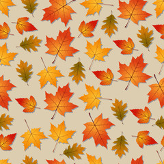 Fototapeta premium Autumn seamless vector background
