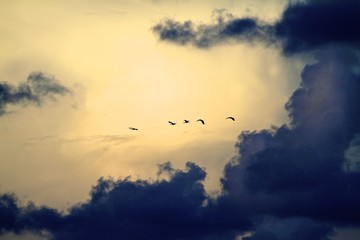 sunrise in key biscayne