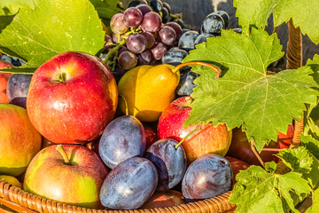 Ripe fruits in a basket close up