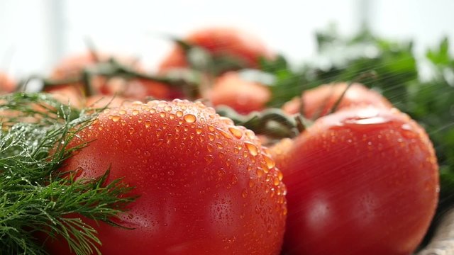 Spraying fresh tomatoes with water, close up.