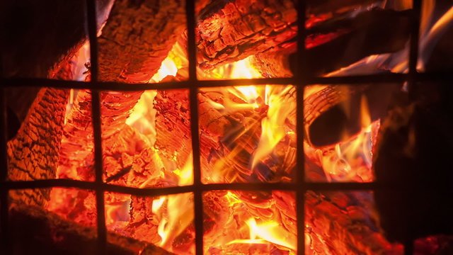 Fire of wood in the cage