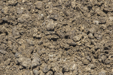 Natural fertilizer