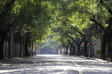 Empty street in sunlight