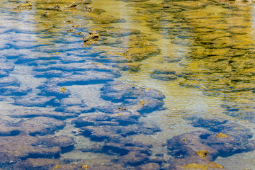 Brazilian Beaches - Praia de Carneiros, Pernambuco