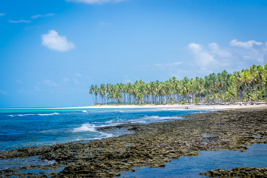 Brazilian Beaches - Praia de Carneiros, Pernambuco