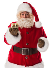 Santa Claus Portrait