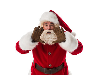 Santa Claus Portrait