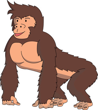Gorilla cartoon illustration
