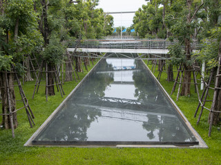 Fototapeta premium the beautiful garden 