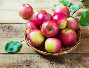 Fresh harvest of apples.Nature fruit concept.