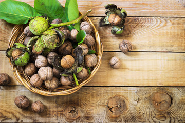 Walnuts in green husks with leaves