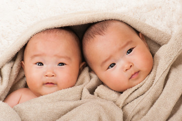 タオルの中にいる双子の赤ちゃん