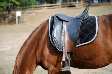 Detail of a horse saddle