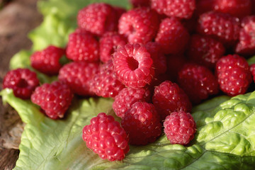 raspberry on a green leaf