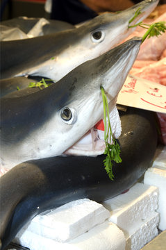 Puesto de pescado en el mercado de Cádiz. España.