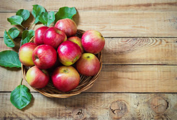Fresh harvest of apples.Nature fruit concept.
