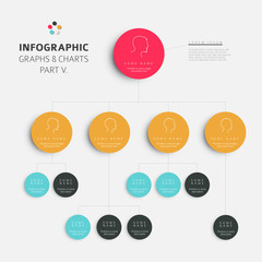 Set of vector flat design infographic charts and graphs 5