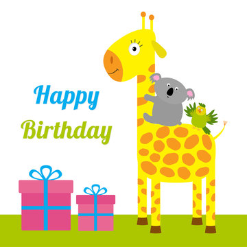 Happy Birthday card with cute giraffe, koala and parrot. Giftbox set Baby background Flat design