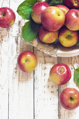 Fresh harvest of apples.Nature fruit concept.