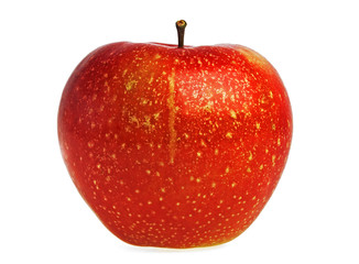 Red apple on a white background