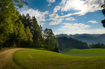 Waldwanderweg zur Burgruine