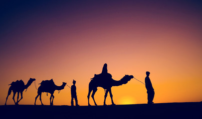 Fototapeta na wymiar Indigenous Indian Men Walking Through Desert Camel Concept