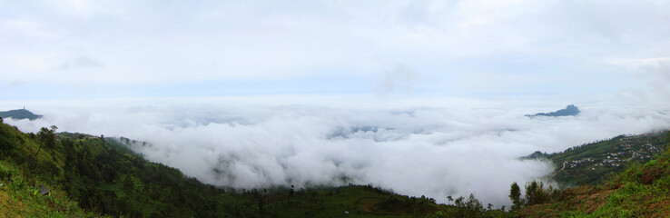 Panorama of the mist on the mountain