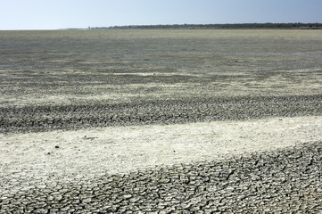 Obraz premium Etosha Salt Pan - Namibia