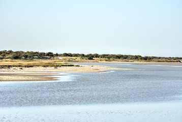 Etosha, Namibia