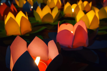 Candle lotus lanterns
