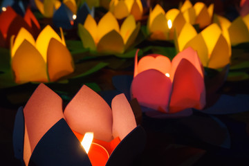 Candle lotus lanterns
