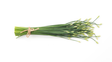 Chinese chives