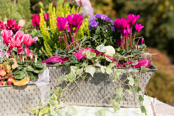 Blumendekoration auf einem Herbstmarkt