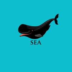 whales and marine fish