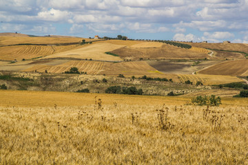 Obraz premium campagna dorata in Basilicata