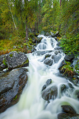 Fototapeta premium cascatelle d'acqua in bosco alpino