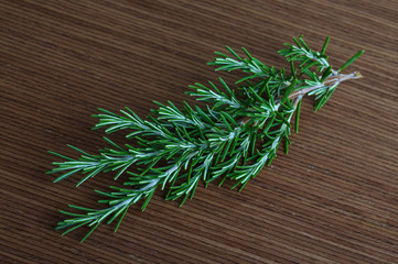 Rosemary branch