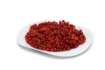 Red currant berries isolated on white