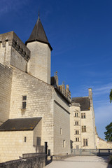 Fototapeta premium Castle of Montsoreau, Maine-et-Loire, Pays de la Loire, France