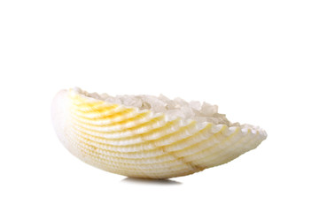 sea salt in a shell isolated on a white background
