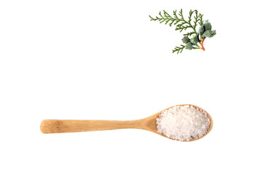 sea salt on wooden spoon with green twig isolated on white background