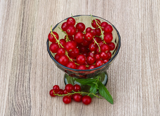 Red currant