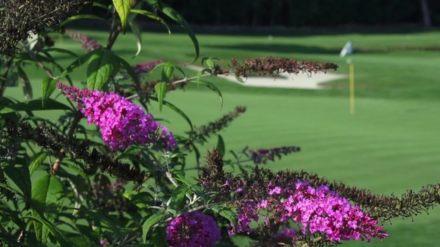 Lush, fun golf course
