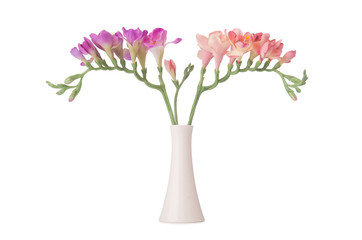 Vase with orchid flower isolated on white