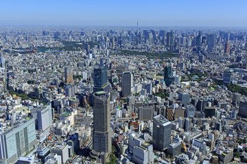 Fototapeta premium 渋谷周辺／渋谷から六本木方向を望む