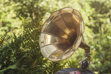 Fototapeta na wymiar old vintage gramophone in a green garden