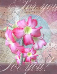 Floral For you card with beautiful realistic adenium pink flowers on a vintage elegant background with old clocks and handwritten text. Can use for wedding, greeting or invitation card.