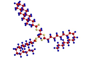 Example of lipid (triglyceride)