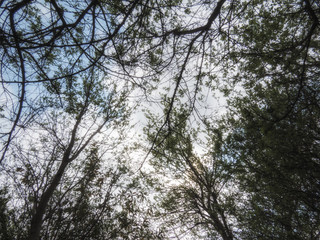 Rietvlei Sky